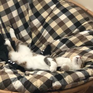 Meet your Posher, Julia